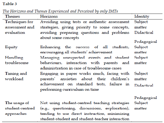 The Horizons and Themes Experienced and Perceived by only IMTs